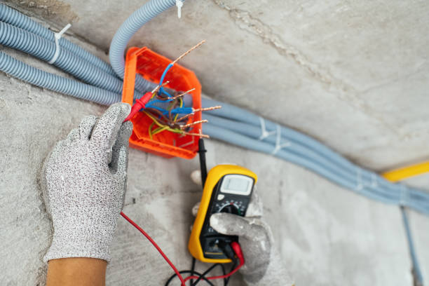 Best Home Electrical Repair  in Howard Lake, MN